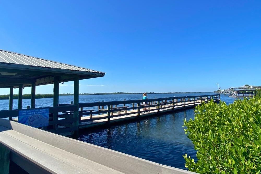 jb's fish camp best restaurant new smyrna beach